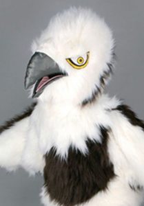mascota vultur
