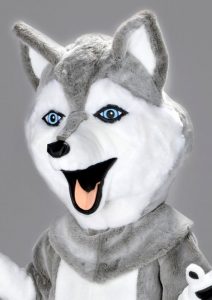 Mascota caine husky